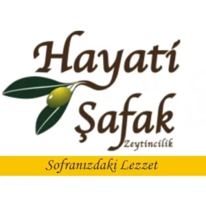 HAYATI-SAFAK-2_45_11zon
